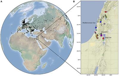 The First Catalog of Archaeomagnetic Directions From Israel With 4,000 Years of Geomagnetic Secular Variations